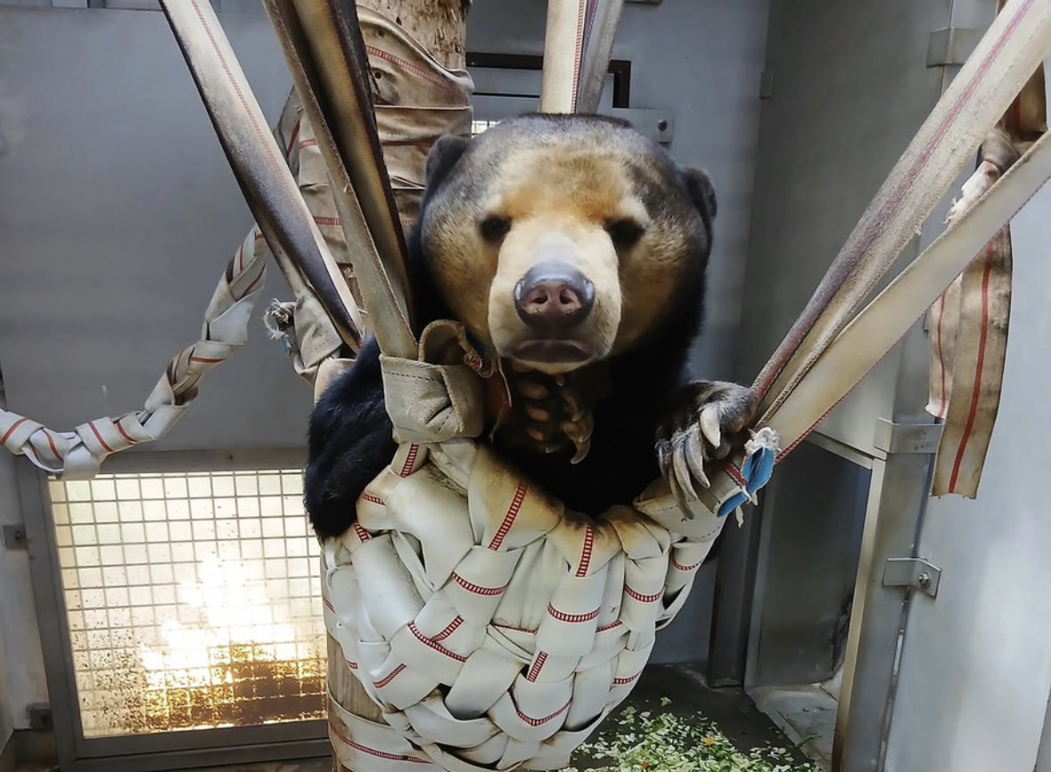 サポート画像