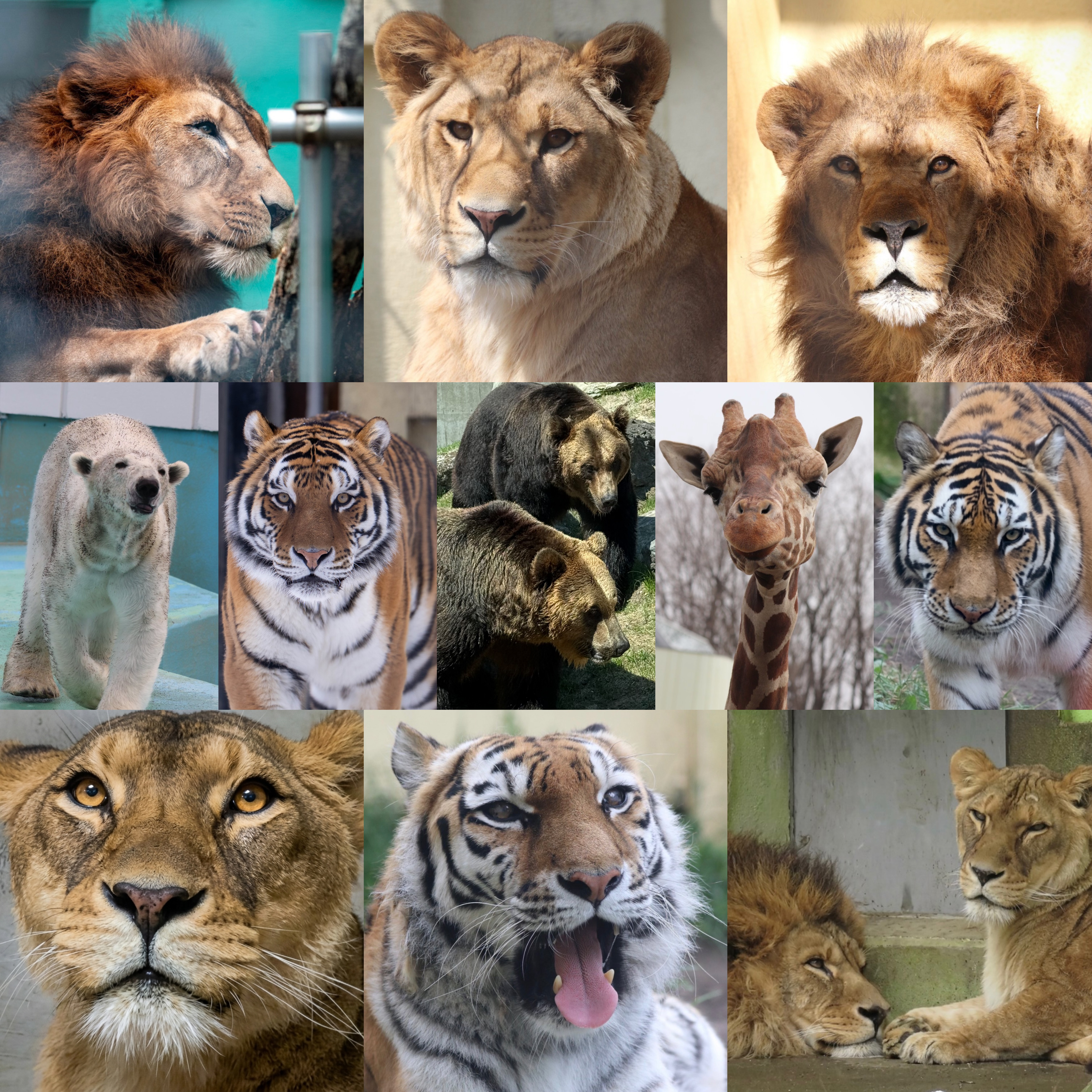 選べるミラー①