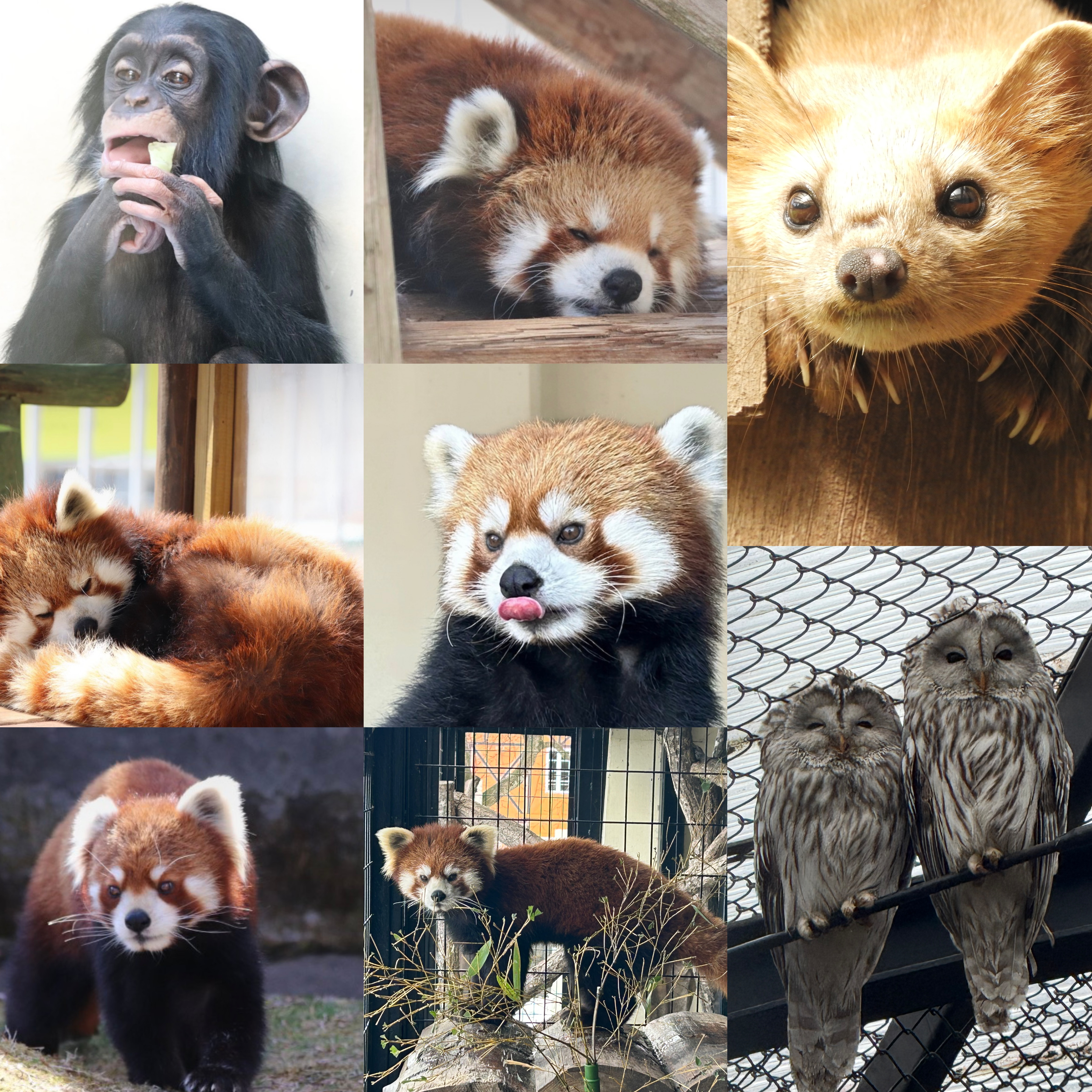 選べるミラー②